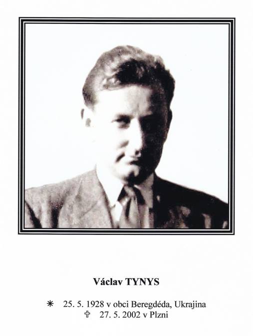 26_tynys