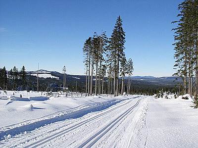 cerna