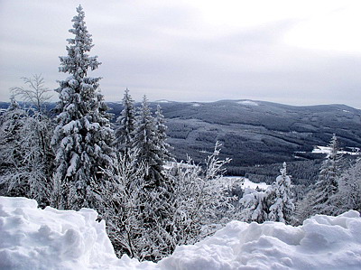 image013