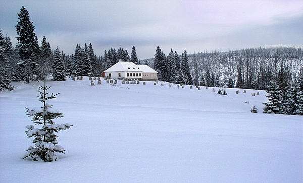 P1220077w3
