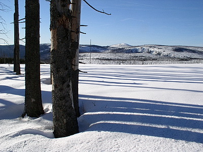 Siebesteinkopf