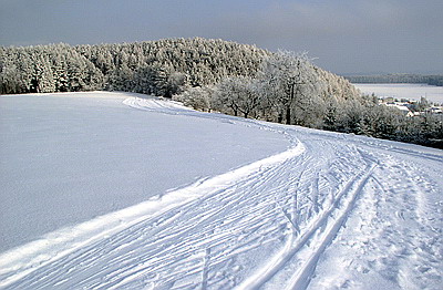image011