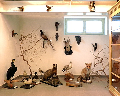 Strasice_muzeum2_w