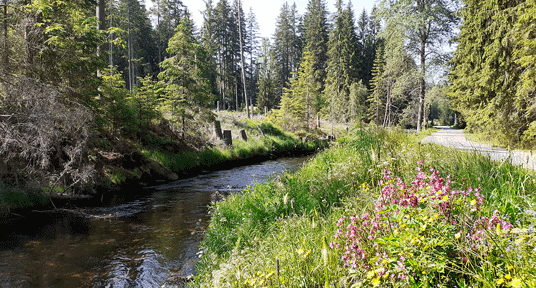 Vchyn_tet_kanal_01