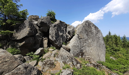 Oblik_02