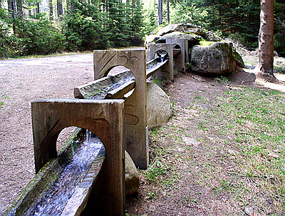 P5020055_w4