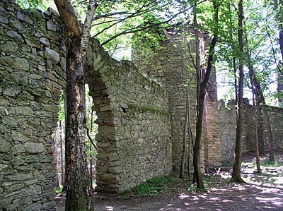 Prasivice_w