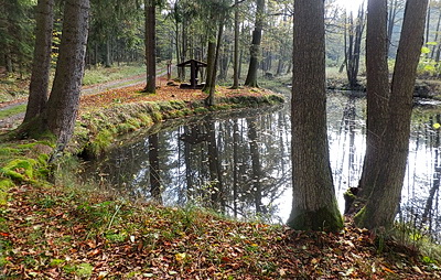 Kvapilovo_w