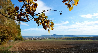 PA200004w