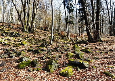 P3090014w