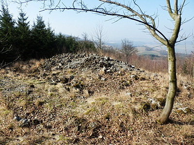P3090015w