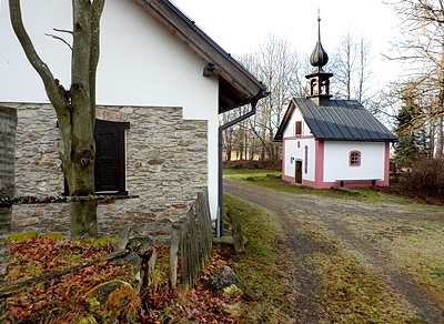 kozi_hrbet_m