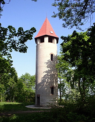 P1010007w