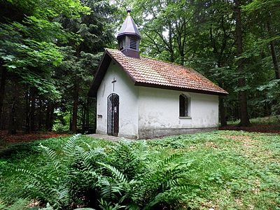 medvedikaple_w