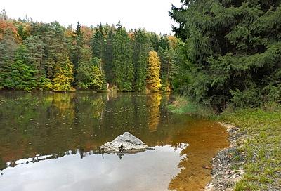Neslivskyrybnik_w