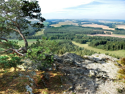 P9280114w