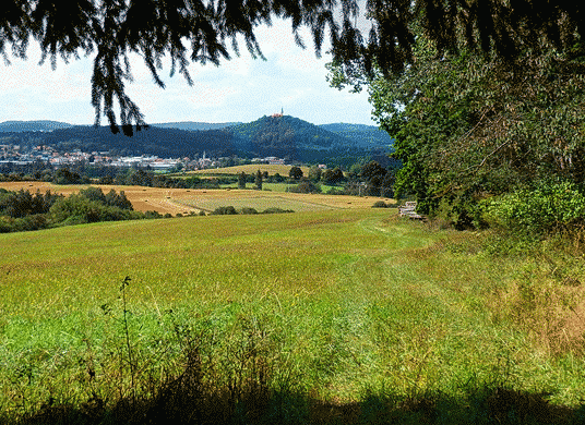 vrcenw