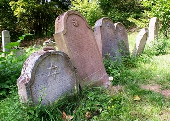 rab05