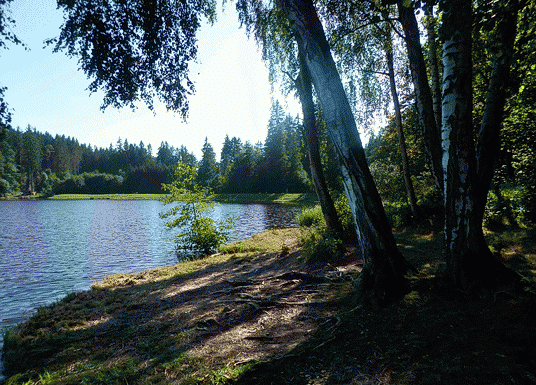 Vaclavsky_rybnik_w1