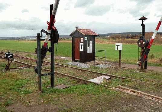 Humboldtka_w