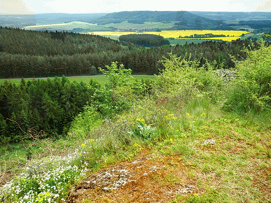 Zbraslav